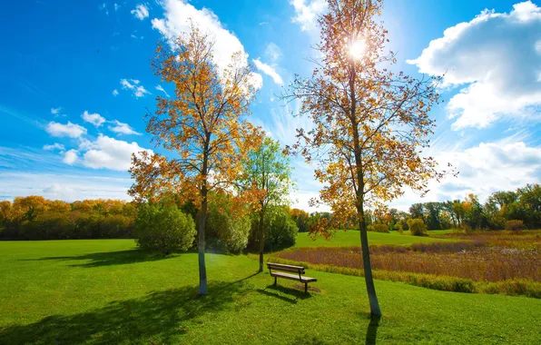 Picture autumn, the sky, grass, trees, pond, Park, bench