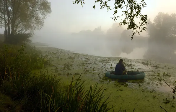 Picture fog, river, fishing, morning