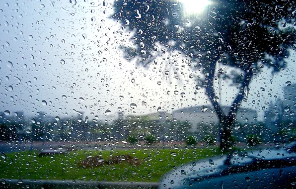 Picture glass, drops, the city, rain