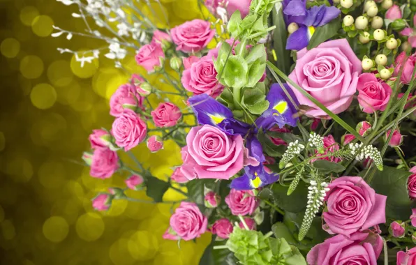 Picture glare, roses, bouquet, buds, irises