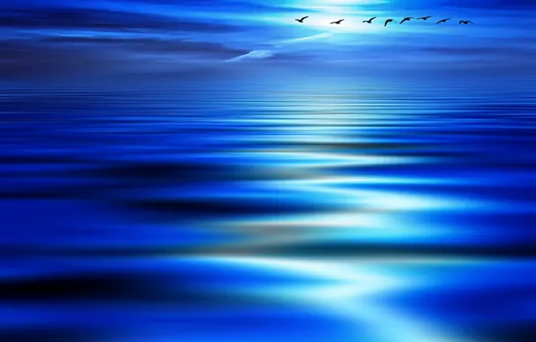 Picture wave, birds, blue