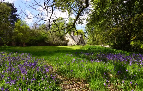 Picture home, spring, UK, bells, park, shipley