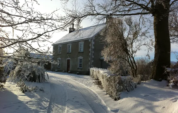 Picture winter, road, landscape, house