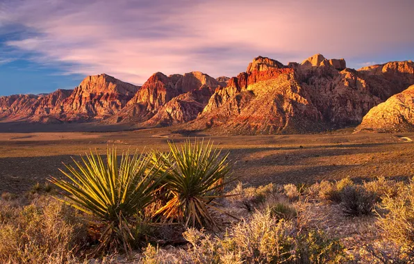 The sky, sunset, mountains, rocks, desert, plant, cactus, agave