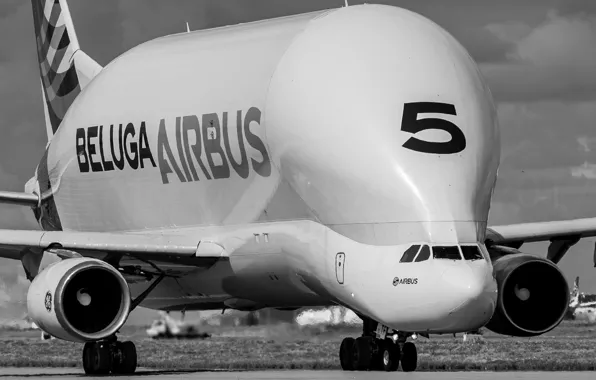 Jet, widebody, cargo plane, BELUGA 5