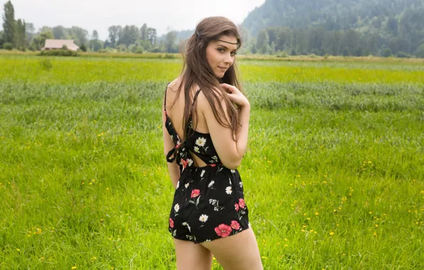Picture greens, field, summer, grass, look, girl, trees, landscape, pose, makeup, dress, hairstyle, house, brown hair, …