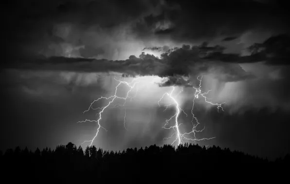 Picture forest, the sky, night, clouds, lightning