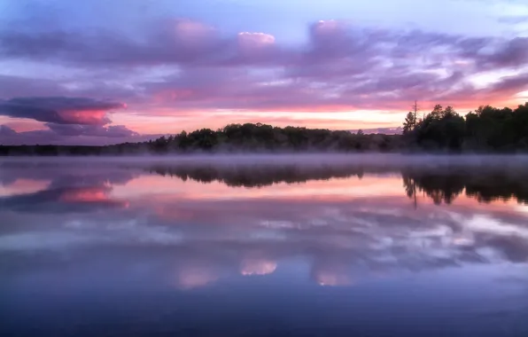 Forest, the sky, clouds, trees, sunset, fog, lake, reflection