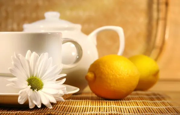 Picture lemon, tea, Daisy, kettle, Cup, lemon, tea