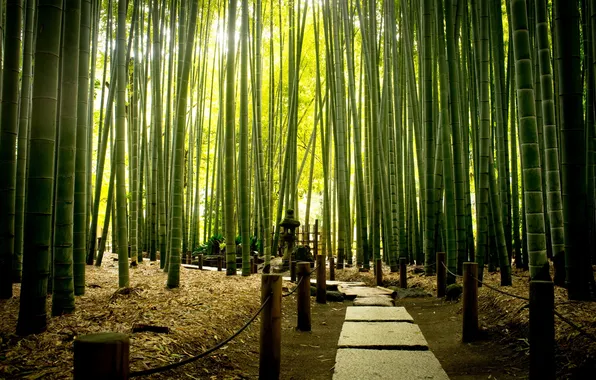 Picture road, Park, bamboo