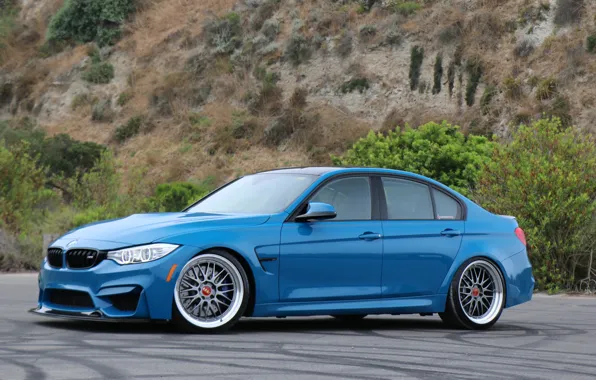 Picture BMW, Blue, F80