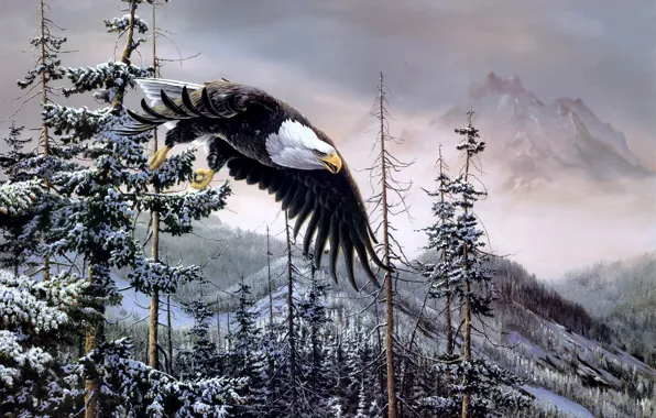 Winter, forest, mountains, birds, eagle, spruce, painting, bald eagle