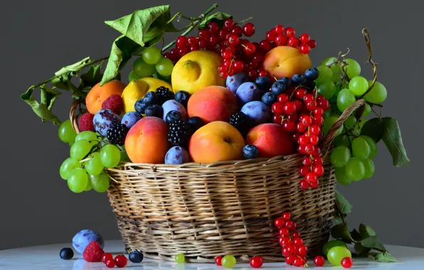 Picture basket, food, fruit, still life, different, a lot, composition, cuts