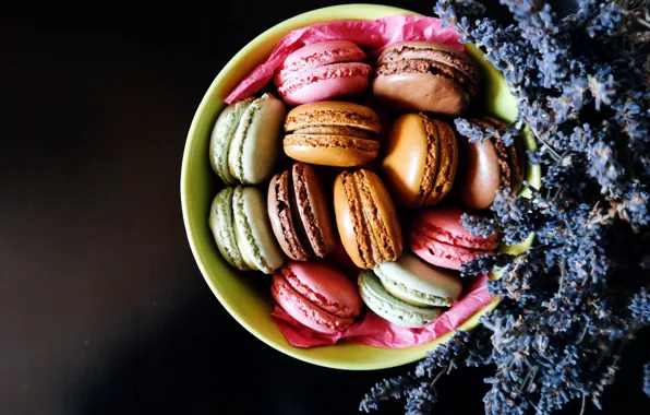 Food, cookies, plate, lavender, macaron