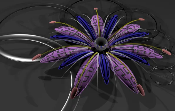 Flower, background, 3D graphics