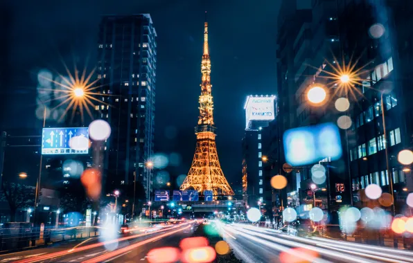 Night, the city, lights, Park, the building, tower