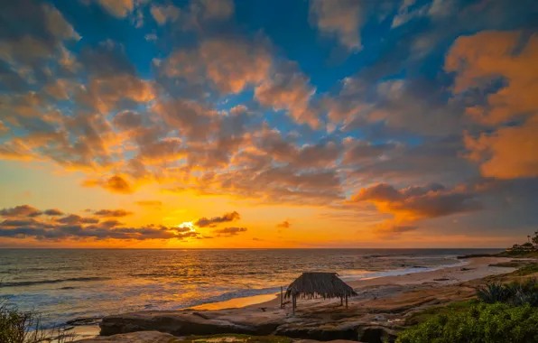 Beach, sunset, the ocean, coast, CA, USA