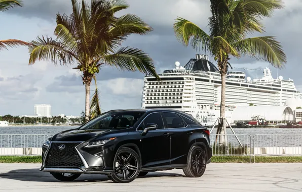 Lexus, port, liner, RX350 1