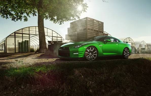 Nissan, GT-R, Car, Nature, Green, Front, Beauty, Sport