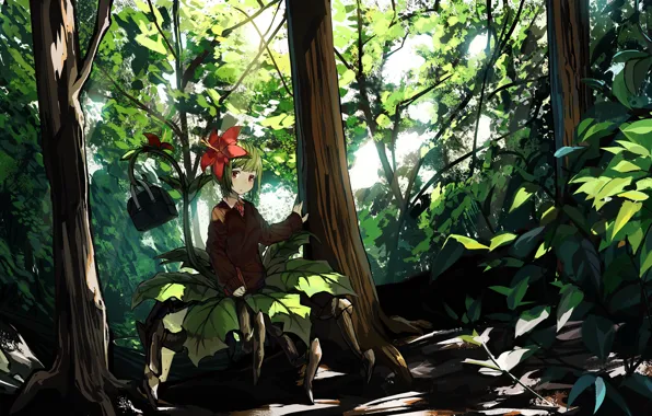 Nature, anime, girl, Touhou