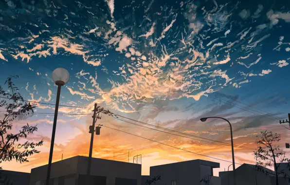 Picture summer, the sky, sunset, the city