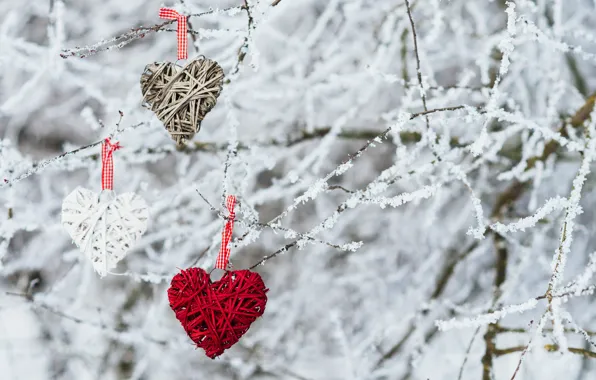 Picture winter, snow, love, heart, love, heart, winter, snow