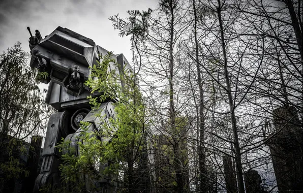 Picture forest, robot, large, star wars, combat, photo, photographer, Greg Stevenson