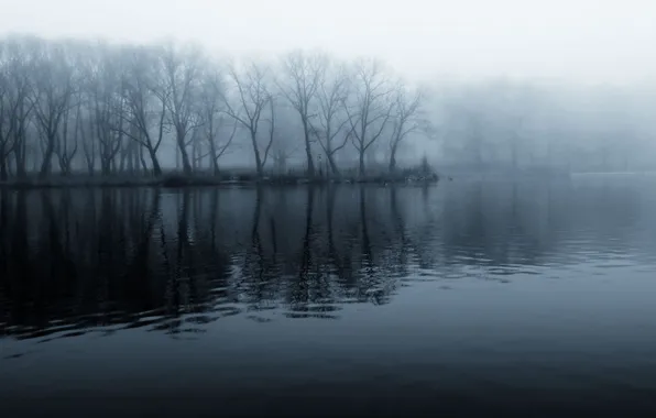 Forest, water, mystic, black and white