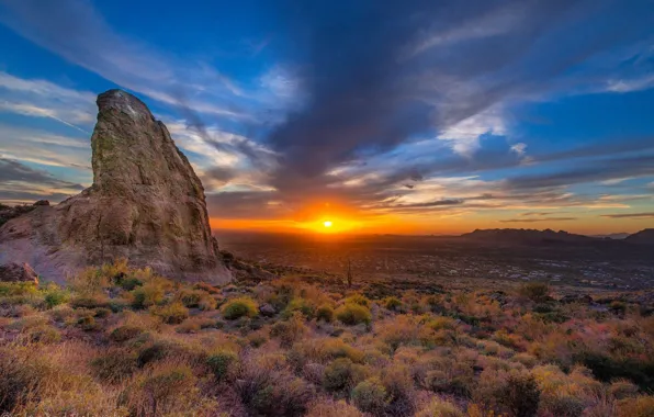 Picture sunset, flowers, mountains, desert