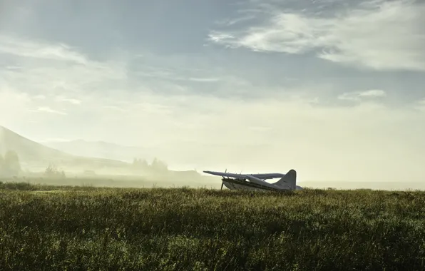 Picture field, fog, the plane