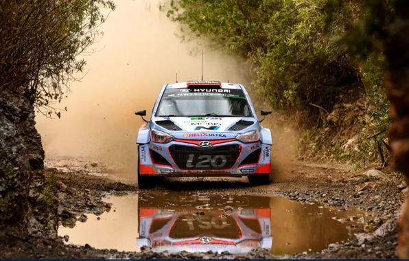 Picture Water, Reflection, Dust, Hyundai, WRC, Rally, i20, Ford