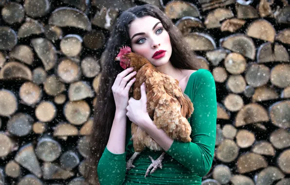 Picture girl, snow, chicken, makeup, wood, Inese Stoner, Alyona