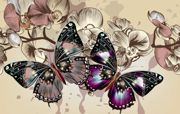 Picture color, butterfly, flowers, background, wings, vector