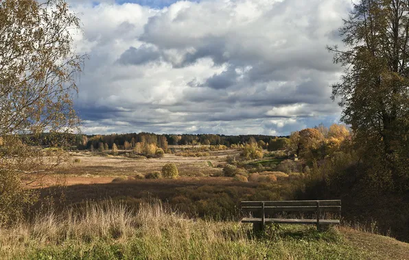Field, landscape, bench