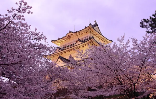 Trees, spring, Japan, pagoda, flowering