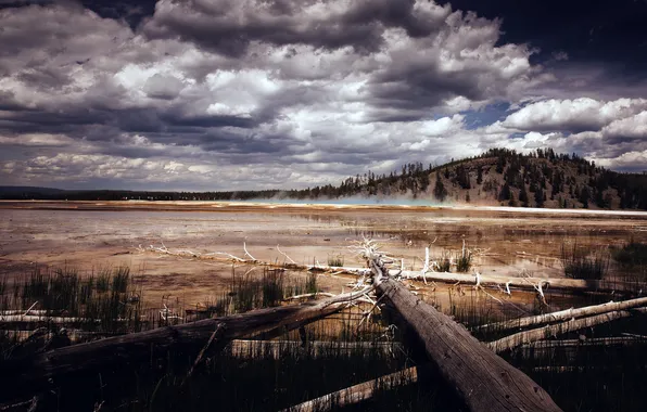 Picture nature, Wyoming, Yellowstone National Park