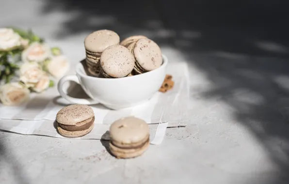 Roses, cookies, Cup, cream, dessert, macaron, almond