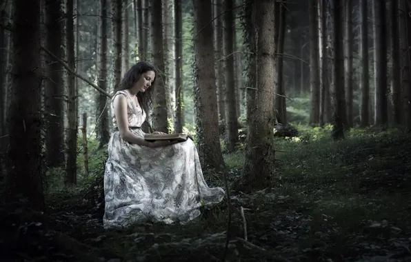 Picture forest, girl, book