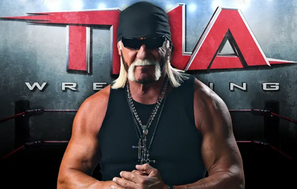 Pose, glasses, Hulk Hogan, the ring, actor, muscle, wrestler, biceps