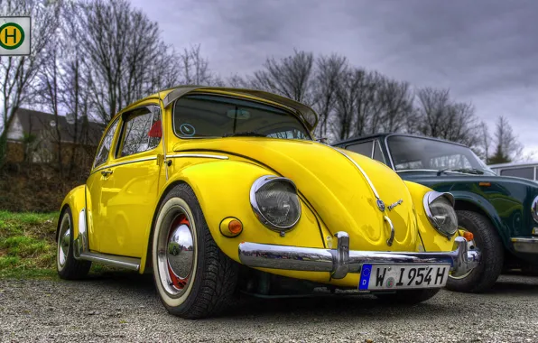 Beetle, volkswagen, hdr, vintage, yellow, beetle, car. vw