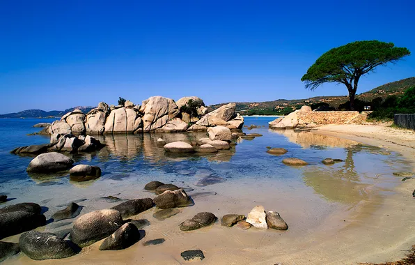 Picture sand, beach, the sky, trees, landscape, nature, stones, the ocean