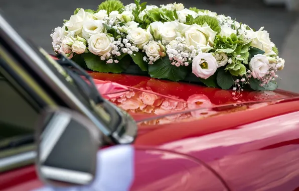 Machine, flowers, the hood