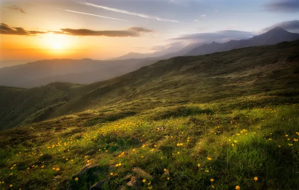 Grass, clouds, sunset, flowers, Bulgaria, Stara Planina