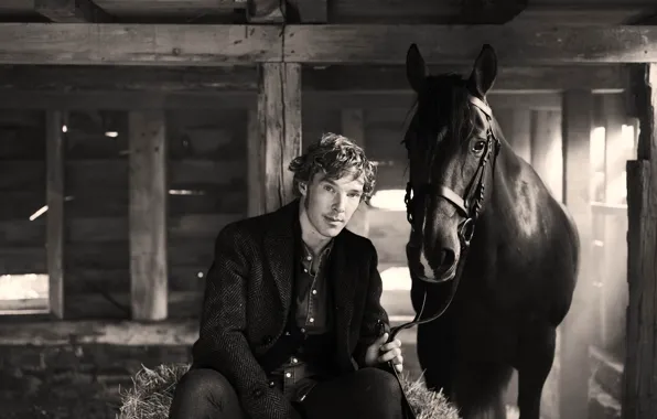 Horse, Benedict Cumberbatch, Benedict Cumberbatch, British actor