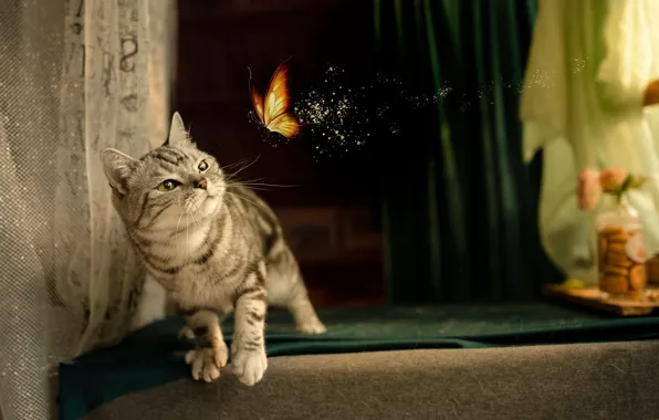 Cat, cat, look, pose, butterfly, fabric, curtains, face