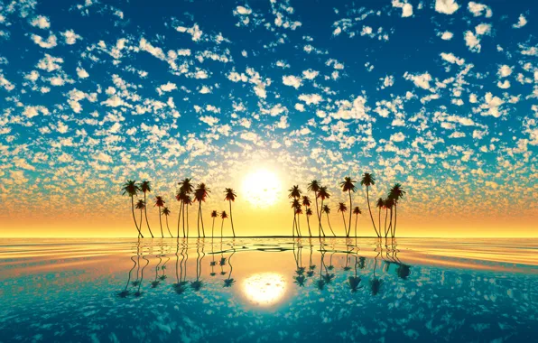 Water, the sun, sunset, reflection, palm trees, island