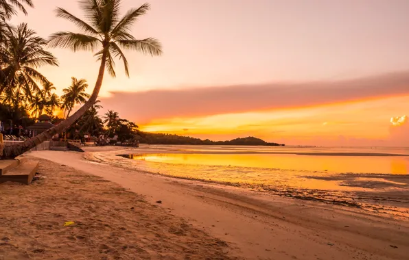 Sand, sea, beach, summer, the sky, sunset, palm trees, shore