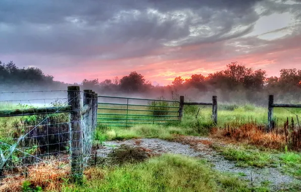 Picture field, fog, the fence