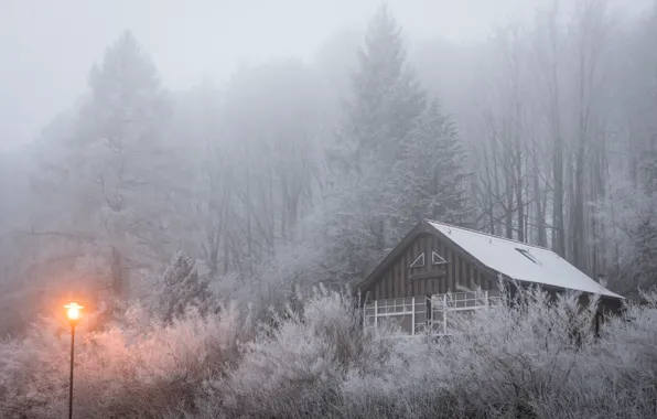 Winter, frost, forest, light, snow, trees, fog, house