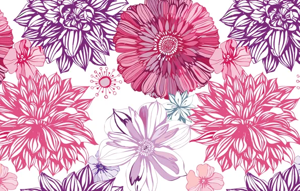 Picture figure, vector, art, buds, dahlias, asters